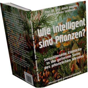 Wie intelligent sind Pflanzen? Wie intelligent sind Pflanzen?