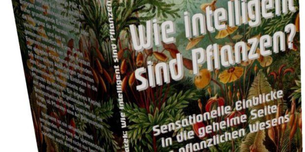 Wie intelligent sind Pflanzen? Wie intelligent sind Pflanzen?