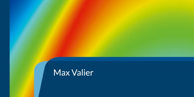 Das transzendentale Gesicht der Welt Das transzendentale Gesicht der Welt