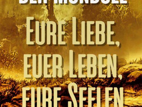 Der Mondsee Der Mondsee